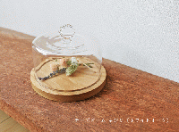 HARIOランプワークファクトリー　チーズドーム ネジリ  (ホワイトオーク)